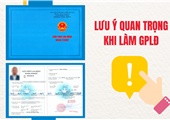 Lưu Ý Quan Trọng Khi Xin Giấy Phép Lao Động Việt Nam